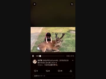 女ｖｓ神の使い