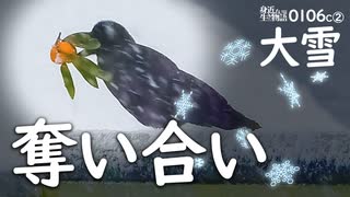 野鳥撮影0106C②【雪とカラスに食べられるミカン】カワセミ捕食。南天と椿。マガモとヒドリガモ。オオバン。鶴見川水系でコンデジ野鳥撮影。　#身近な生き物語　#ハシブトガラス　#カワセミ