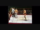 フィット・フィンレー vs. スティーブ・ローガン 84年12月1日