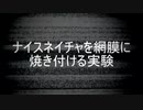 ナイスネイチャを網膜に焼き付ける実験