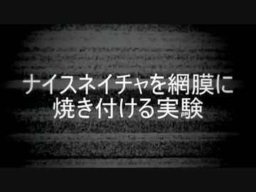 ナイスネイチャを網膜に焼き付ける実験