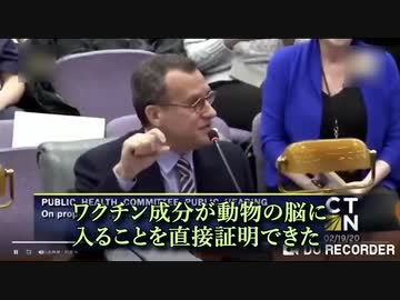 コロナワク●ン中のアルミニウムは、脳に侵入可能はナノ粒子