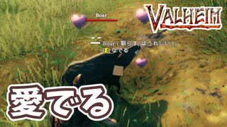 【Valheim】イノシシを撫でまわす！餌付けしていたイノシシを可愛がったり、青銅を作って新しい武器を作る【実況プレイ #11】