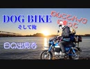 バイク（モンキー１２５）に乗って、俺の嫁（コーギー犬）と日の出を見に行くのです。