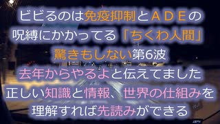 ちくわ喰い達の免疫抑制とＡＤＥが今危ない！感染増は予想通り喰ってない人は何も恐れる事がない案件...