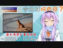 【今日は何の日】2022年01月14日【愛と希望と勇気の日】