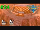 頼れるのは過去の俺！？　自分ナビゲーションポケモン part24　【ポケモンソード】