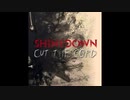 2015年06月29日　洋楽　「Cut The Cord」（シャインダウン　Shinedown）