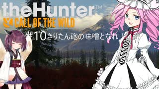 【theHunter: CotW】# 10 漆黒ハンターめたんちゃん【VOICEVOX】