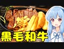 琴葉姉妹の大阪を食べようPart34「Revo 本店」