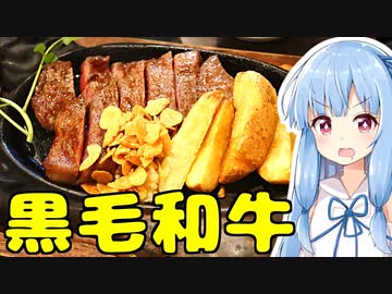 琴葉姉妹の大阪を食べようPart34「Revo 本店」