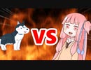 茜ちゃんVS犬ぞり