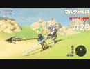 白銀ボコブリンとの殴り合い【ゼルダの伝説 ブレスオブザワイルド マスターモード】#20