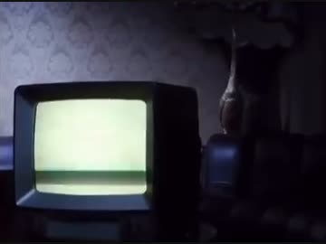 【MV】絶望ビリー  /    マキシマムザホルモン