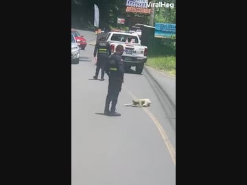 ホモと見る　怠け者vs警察