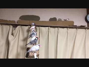 よーいドン！！