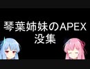 琴葉姉妹のAPEX（没集）