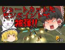 【マリオカート8DX PART30】よく見かけるカスタマイズで走ると、高順位が取れるはず!?【ゆっくり実況】