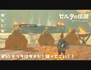ガマンくらべ大会【ゼルダの伝説BotW】 #51