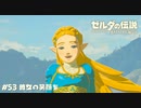 彼女の笑顔を___【ゼルダの伝説BotW】 #53(終)