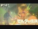 金のリンクですか？銀のリンクですか？【ゼルダの伝説 ブレス オブ ザ ワイルド⑭】
