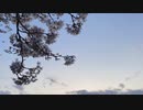 「ドライフラワー」歌ってみた