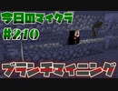 【今日のマインクラフト】～ブランチマイニング～ 【#210】