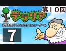 第10回『テラリア』記憶を無くしたつもりでニューゲーム　再録7