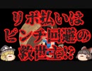 【ゆっくり解説】リボ払いに変更するボタンが『ピンチ回避ボタン』と称され出す