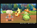 【ポケモン剣盾】嫁ポケブースターと駆け抜けたいpart9【ダブルバトル】