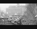 【ブログ用タンピン動画】心だけ冬気分