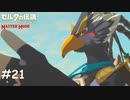 愚の骨頂だよね【ゼルダの伝説 ブレスオブザワイルド マスターモード】#21