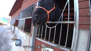 やまくじらの北海道ドライブ～冬の帯広音更～パート6