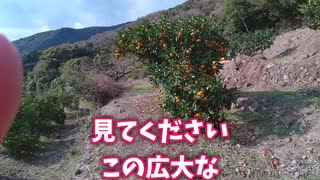 平郡島って島を知ってもらいたい為に作りました