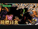 【アイテムは全員で１つ縛り実況】 敵が個性的すぎる武器種縛りの日常  #34【テラリアSteam版】