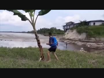 ホモと見る人間VSトンガ噴火津波