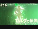感電はマジで洒落にならん【ゼルダの伝説 ブレス オブ ザ ワイルド⑯】