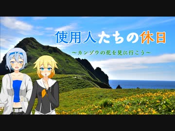 【CeVIO車載】使用人たちの休日　holiday14「カンゾウの花を見に行こう」