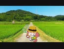 ブルボンのむすめのなつやすみ