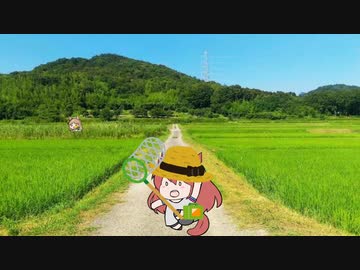 ブルボンのむすめのなつやすみ