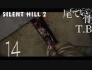【初見】邪魔だけどそのやられ方は羨ましいSILENT HILL2 part14