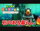 【あつまれ どうぶつの森 ハッピーホームパラダイス実況】別荘？？OK！任せて！クスケチャの別荘「石のある暮らし」