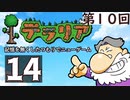 第10回『テラリア』記憶を無くしたつもりでニューゲーム　再録14
