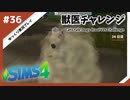 【sims4】獣医チャレンジ  #36【ゆっくり実況プレイ】