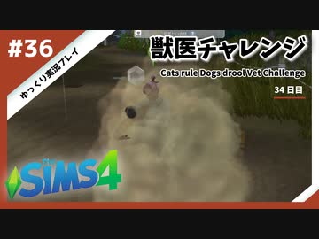 【sims4】獣医チャレンジ  #36【ゆっくり実況プレイ】