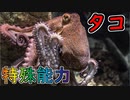 タコの特殊能力【ゆっくり解説】