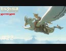 風の神獣 ヴァ・メドー【ゼルダの伝説 ブレスオブザワイルド マスターモード】#22