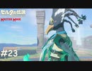 ツンデレ英傑【ゼルダの伝説 ブレスオブザワイルド マスターモード】#23