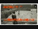Night of the Dead #35「四刀流を目指そうぜ！」