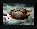 【初見実況】ピクミン2を実況してみた【その14】
